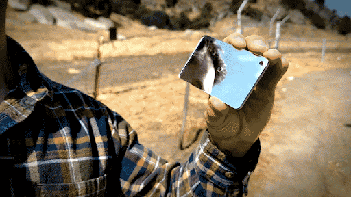 Signal Mirror